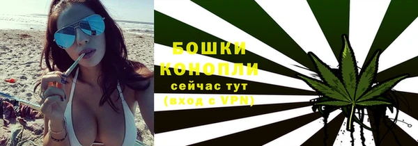кокс Касимов