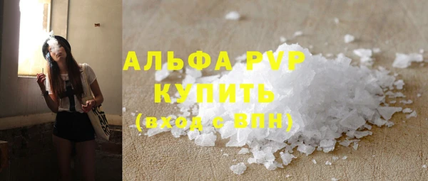 PSILOCYBIN Киренск