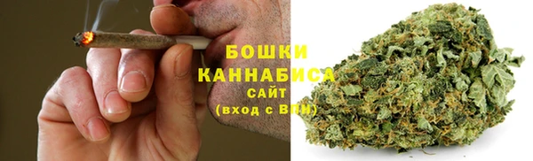 гашик Карпинск