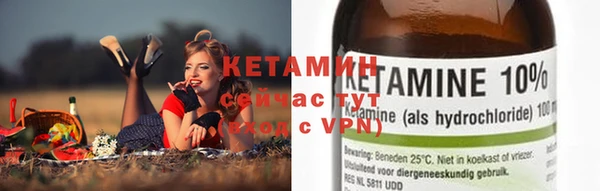 гашик Карпинск