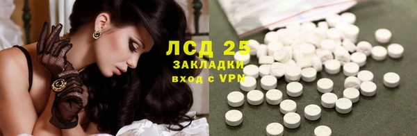 кокс Касимов