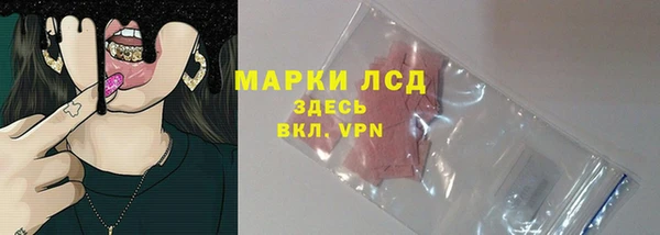 гашик Карпинск