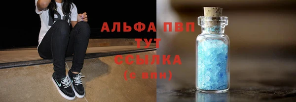 гашик Карпинск