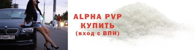 кокс Касимов