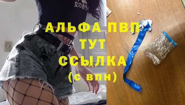 гашик Карпинск