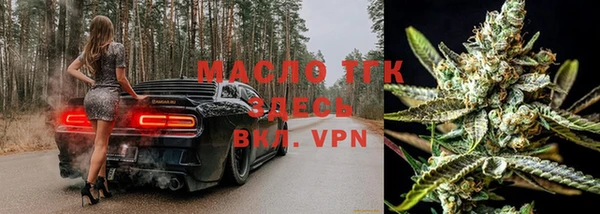 гашик Карпинск