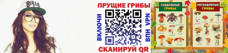 Купить где  Верещагино  Псилоцибиновые грибы Magic Shrooms 