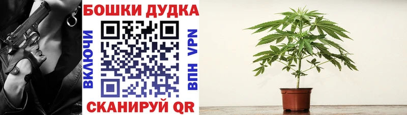 Шишки марихуана гибрид  Купить  Верещагино 